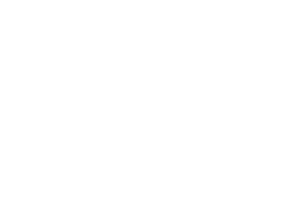 Adidas White Logo
