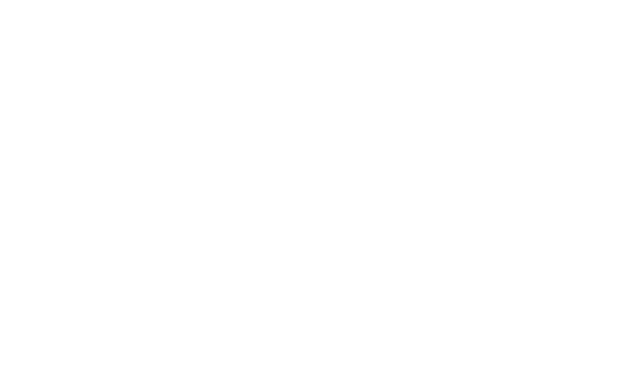 Emirates Logo
