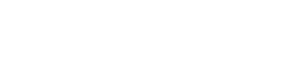 Skins Logo